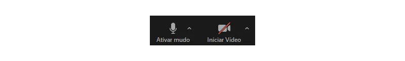 Como ativar o vídeo na audiência virtual