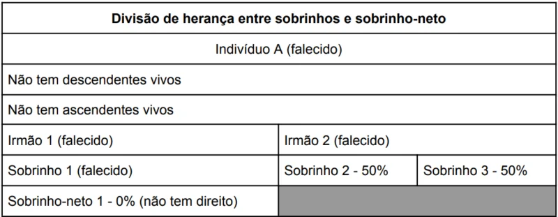 Divisão de herança entre sobrinhos e sobrinhos netos