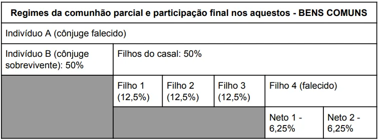 Divisão de herança regime parcial de bens e participação nos aquestos bens comuns