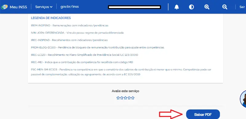 Como baixar PDF do CNIS