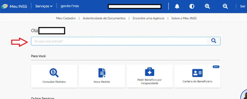 Busca no Meu INSS