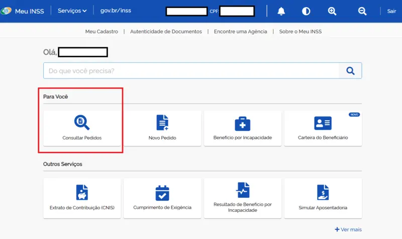 Como consultar pedidos no Meu INSS