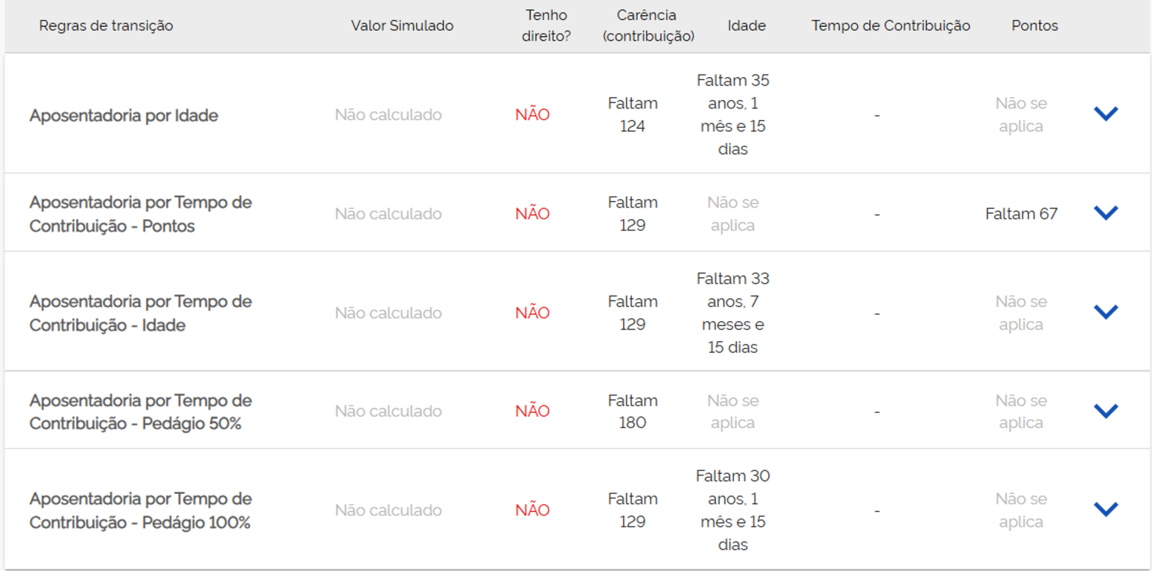 Simulador do INSS ferramenta disponível no Meu INSS