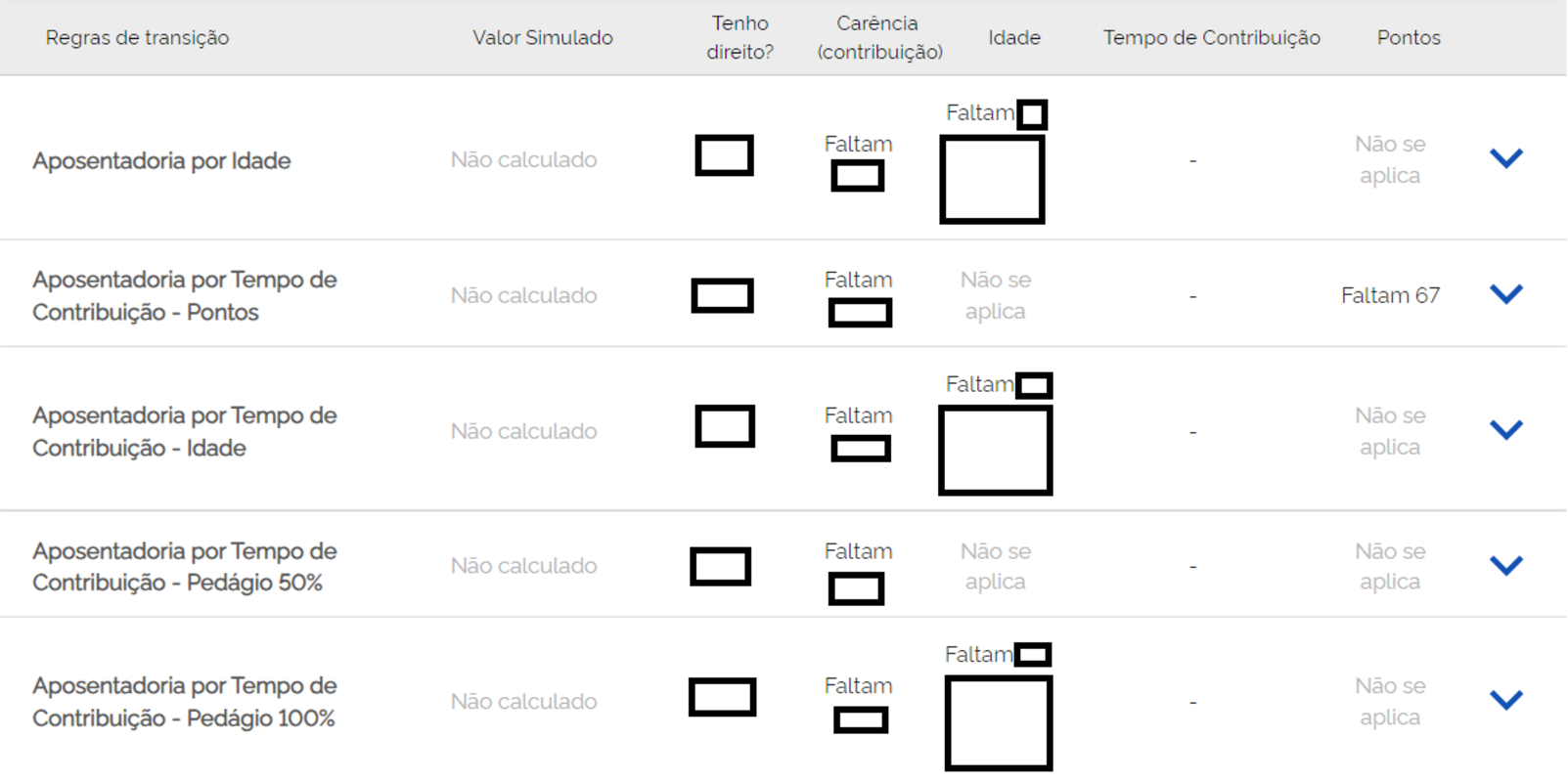 Página Meu INSS do Simulador de aposentadoria preenchimento dos dados